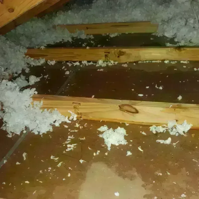 Attic Water Damage in Kenly, NC