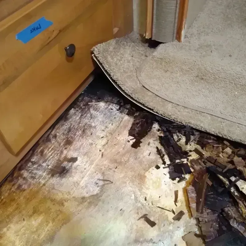 Wood Floor Water Damage in Kenly, NC